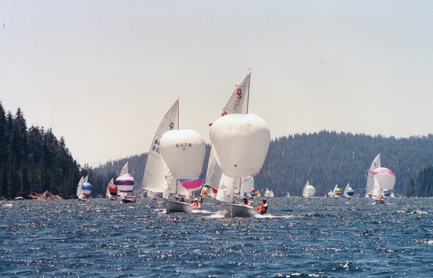 A Daysailer fleet racing in the USA